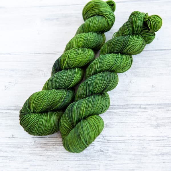 two skeins of yarn in the colorway 'Nessie'